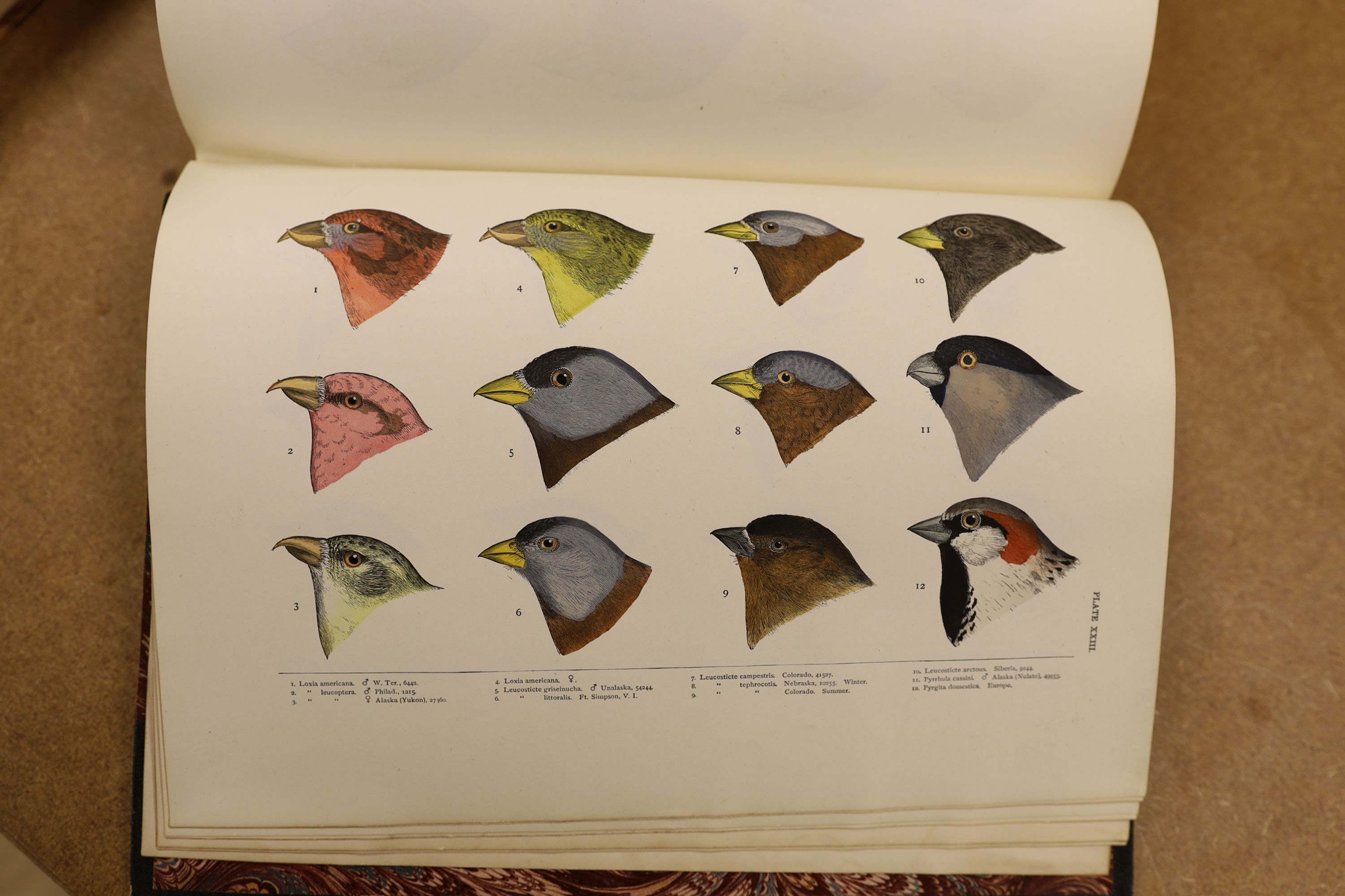 Baird, S.F. & Others - A History of North America Birds: Land Birds, 3 vols., coloured plates and other illus.; old half leather and marbled boards, gilt tops and marbled e/ps., 4to.